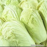 大白菜，冬季刮肠第一菜