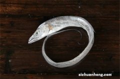 买带鱼，银鳞一碰就掉的能买吗？老渔民教4招，保准新鲜味道正