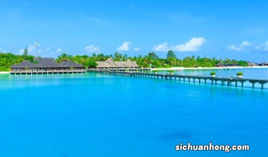 全球十种奇特蓝色动物排行榜 蓝环章鱼上榜,第二非常罕见