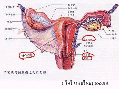 告诫女性:月经期间尽量别做这5件事,若逞能,当心疾病找上门!