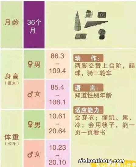 12张图片,带你了解婴儿1-12月发育全过程,解答宝宝成长发育变化