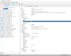 java开发常用抓包