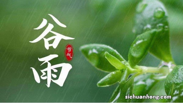 今年谷雨后还会下霜吗 谷雨节气后还能冷多久
