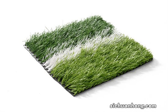 这种植物被称为树上的衣橱，枝头上的郁金香，而我喜欢叫它马褂木