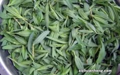 ?一家六口扫墓后误吃毒草中毒 一家六口吃的是什么毒草