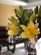 身体不好的人，轻易不要在家里养这4类植物，可不是迷信！