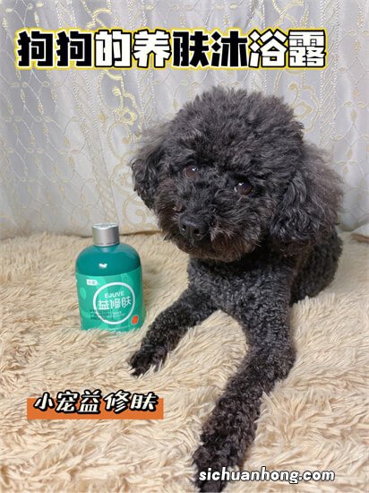 用什么沐浴露给小土狗洗澡好？