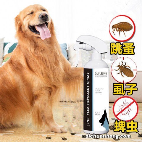 有什么办法能解决狗狗身上的跳蚤呢？