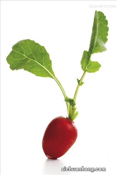 花盆里的这种“三叶草”，随手拔掉别浪费，好吃买不到