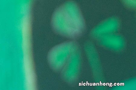 ?春季怎么应对过敏性鼻炎 春季过敏性鼻炎注意事项