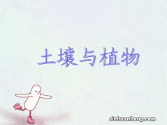 植物的根具有哪三个作用