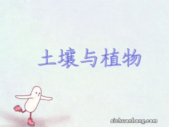 植物的根具有哪三个作用