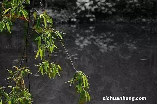 ?清明时节雨纷纷三大原因是什么?