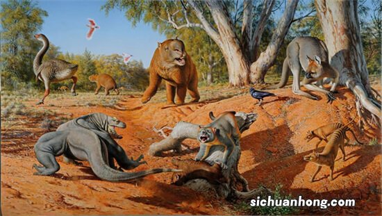 最危险的十大已灭绝史前巨兽,巨猿上榜,第二是当时世界第一高鸟