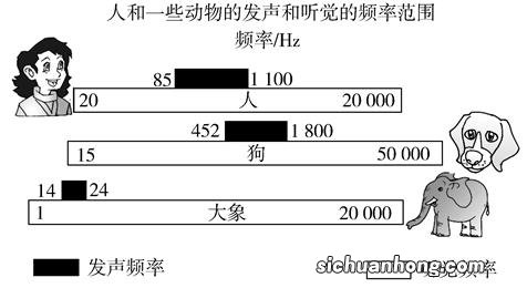 世界上听力最好的动物排名 猫头鹰上榜，第七听觉感应力是人类的16倍