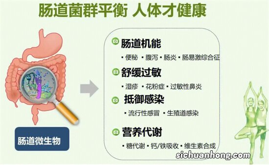 益生菌有用吗？有经常用的讲讲吗？