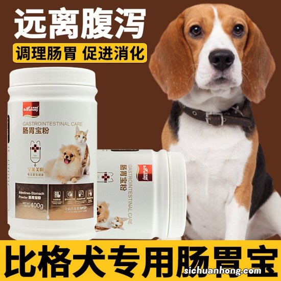 犬用益生菌什么牌子好,狗狗益生菌每天吃好吗?
