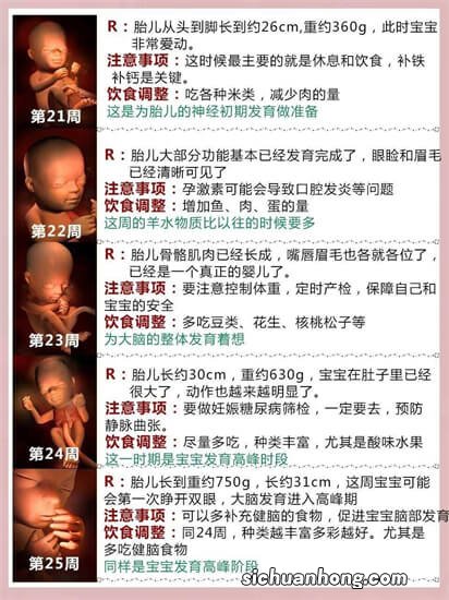 怀孕后怎么吃?精确到孕期每周,顿顿都给胎儿最全的营养
