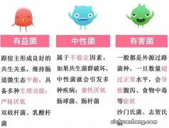 速查！你常给娃吃的益生菌，国家规定根本不能用