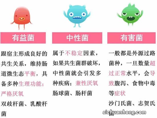 速查!你常给娃吃的益生菌,国家规定根本不能用