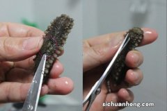 某些平台卖的能让白头发变黑的洗发水有用吗？