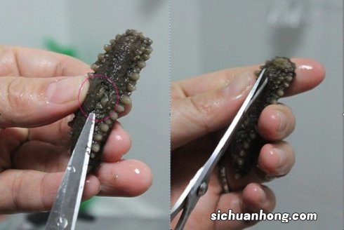 某些平台卖的能让白头发变黑的洗发水有用吗?