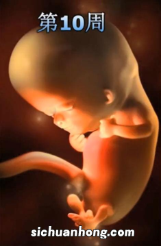 孕期要做几次B超？会影响胎儿吗？产科医生：这项检查才可能致畸