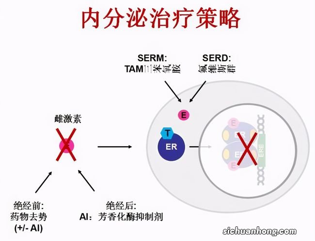 ?野生型淀粉人是什么病 野生型淀粉人如何治疗