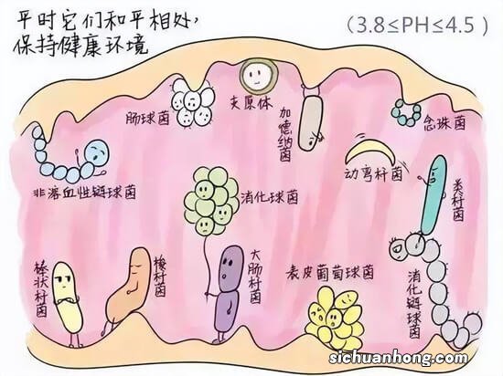 内裤上的这3种分泌物一定要警惕