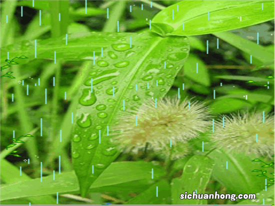 三年级语文上册课外阅读理解练习题及答案