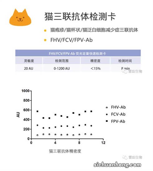 容易导致新生小猫死亡的原因都有哪些？