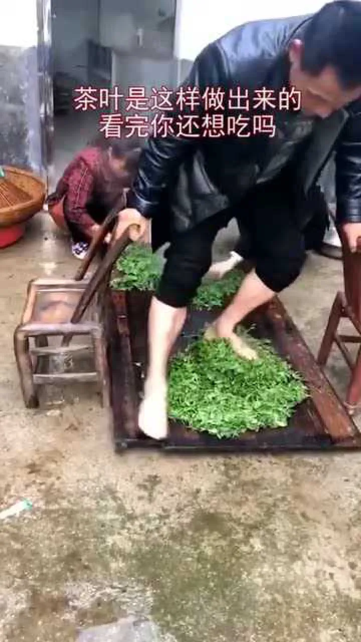 ?茶农称赤脚踩茶叶是传统工艺？