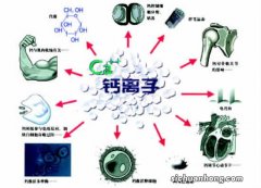儿童补钙有学问，药师帮您选钙剂