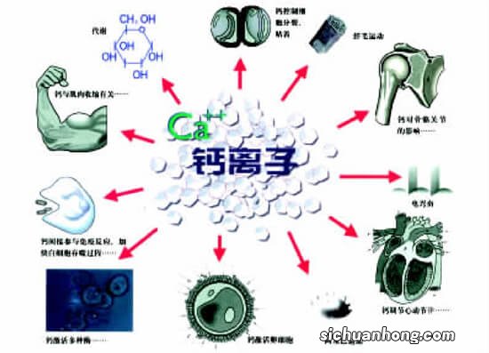 儿童补钙有学问，药师帮您选钙剂