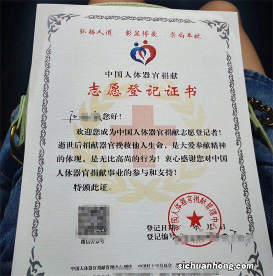 大体老师是什么 大体老师有什么意义