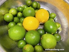 南方适合种哪些水果树？