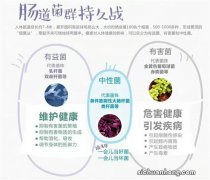 益生菌盲目补充有风险，怎么补看这里