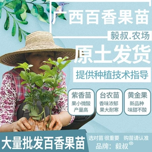 百香果种植如何选百香果苗？