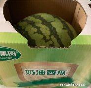 ?新疆的“牛奶西瓜”成熟上市 有什么特点？