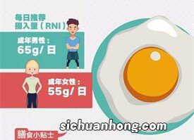 孕妇什么时候增加营养？