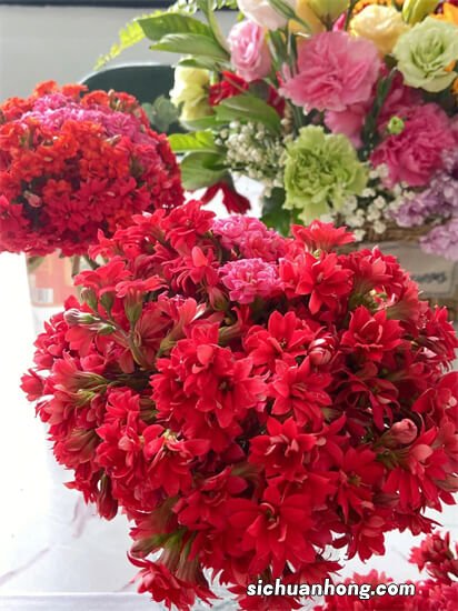 既有趣又实用的生活小技巧,大家有吗?