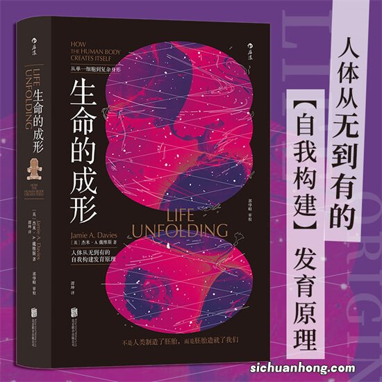 精气神中的精是指什么？