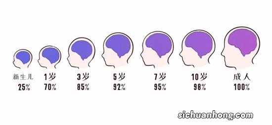 宝宝一生只有1次的大脑智力发育的黄金期，错过就来不及了