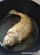 不能见光，必须晚上捕捞的鱼，时间错误价格相差十几倍