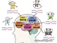 4-6岁宝宝的生理发育特点，来看看您了解