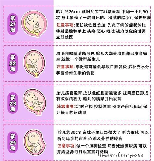 怀孕38周生的宝宝跟40周生的区别大吗，这两周胎儿发育情况如何？
