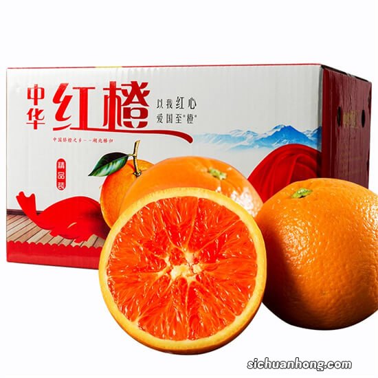 晚熟60天的中华红血橙来了！果园新鲜采摘，鲜嫩多汁！