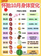 水果趣解1-10个胎儿发育：每个月胎宝宝长得各像什么水果？萌翻了
