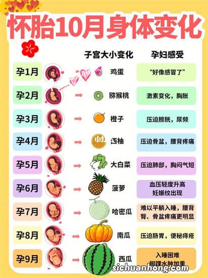 水果趣解1-10个胎儿发育：每个月胎宝宝长得各像什么水果？萌翻了