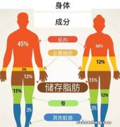 什么原因会让一个胖子下定决心减肥？